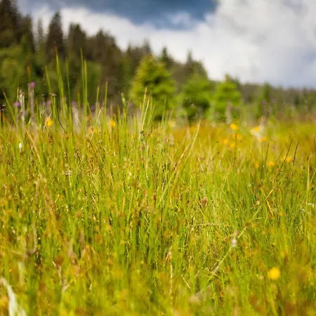 Apartman Penzion Horska Kvilda Horská Kvilda