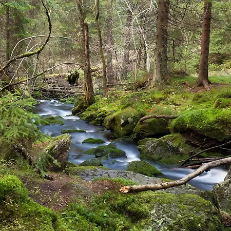 Penzion Horska Kvilda Apartman Horská Kvilda
