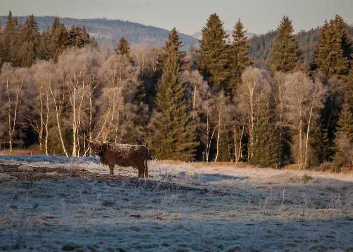 Penzion Horska Kvilda Horska Kvilda